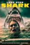 Film Lone Star Shark 2025 Nonton film Lone Star Shark (2025) - Pusatmovie21